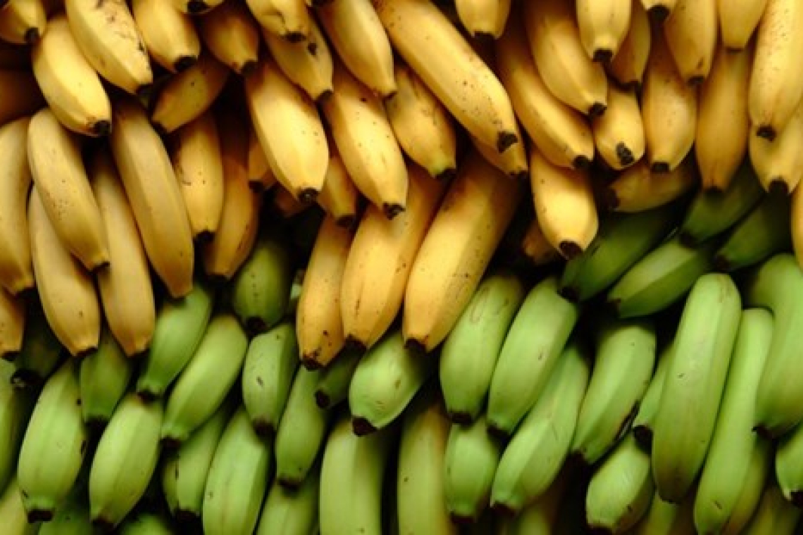 Banane alleviano effetti allergie ai pollini