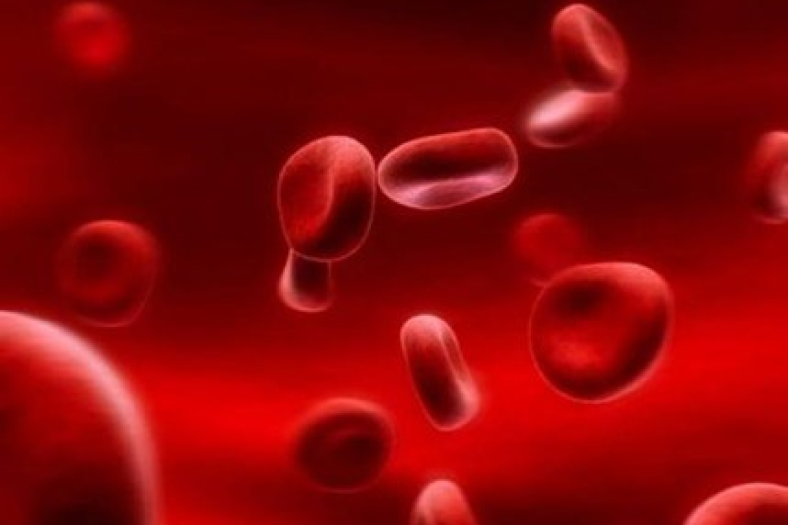 L'importanza del ferro nel nostro organismo: scopriamo gli alimenti che ne contengono di più.