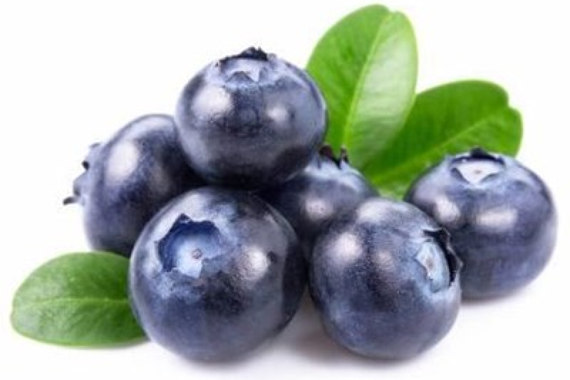 Mirtilli: amici di gambe e circolazione sanguigna