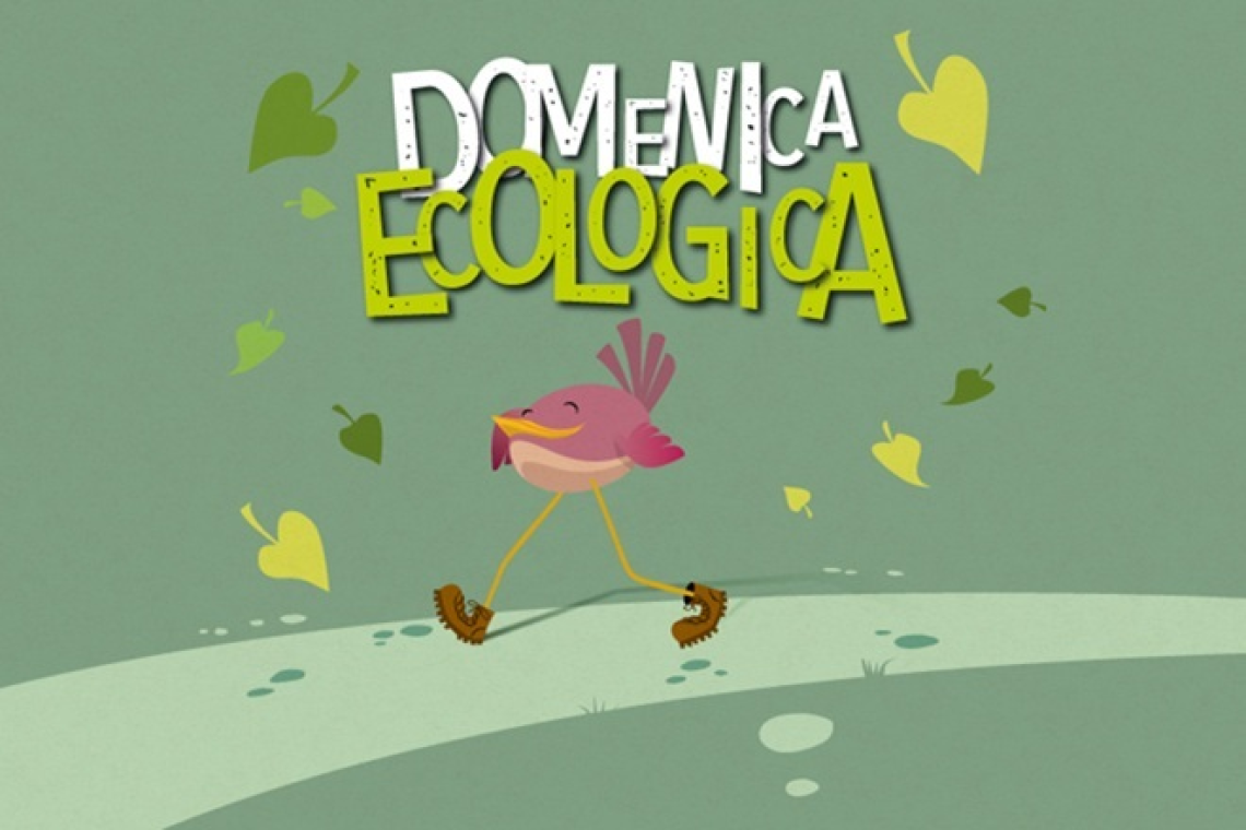 Domeniche ecologiche, il 1 dicembre stop alle auto. mercati contadini a km 0 in 5 piazze