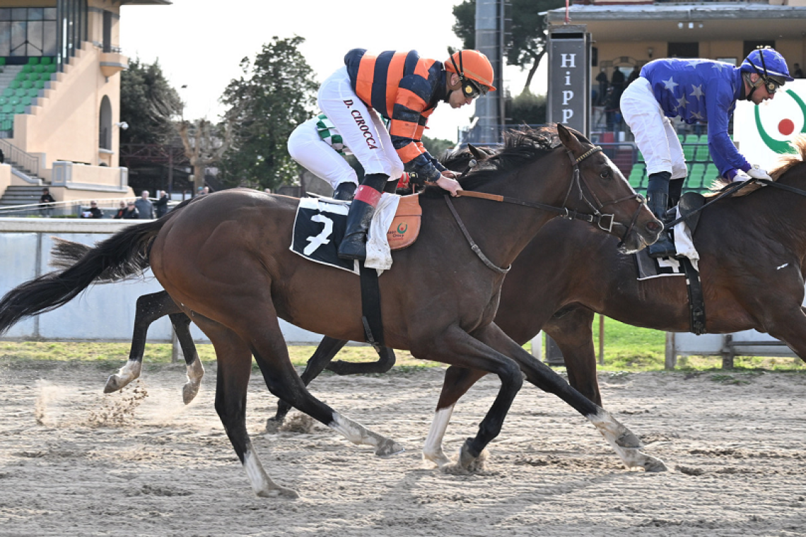 Natale al galoppo all'Ippodromo Capannelle: Martedì 24 dicembre “All Weather Christmas Day&quot;