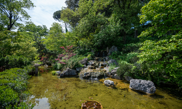 Era di Maggio 2025: donne, natura e storie straordinarie tra i sentieri dell’Orto Botanico di Roma