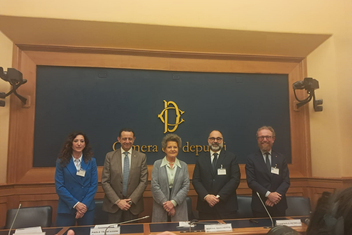 Parkinson, Alzheimer o... Idrocefalo Normoteso? Una patologia curabile&quot;: grande interesse per la conferenza alla Camera dei deputati