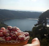Sagra delle Fragole di Nemi 2025: Domenica 1 Giugno e Lunedì 2 Giugno