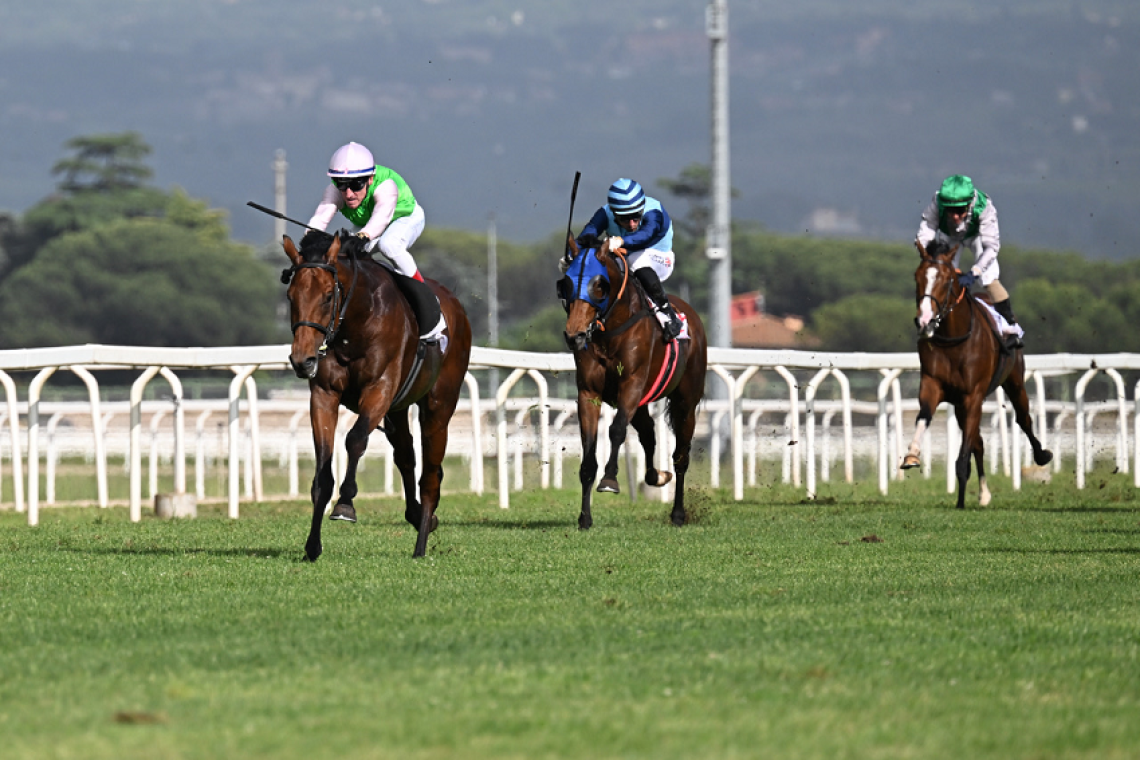 142° Derby Italiano di Galoppo Bet365Scores.it - Lunedì 2 giugno 2025 - dalle ore 14.20