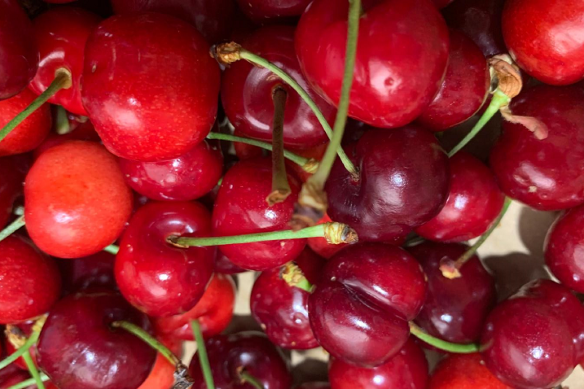 Le ciliegie, uno dei frutti più amati e meno calorici