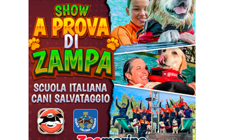 A Zoomarine i cani eroi della Sics protagonisti di “A Prova di Zampa”