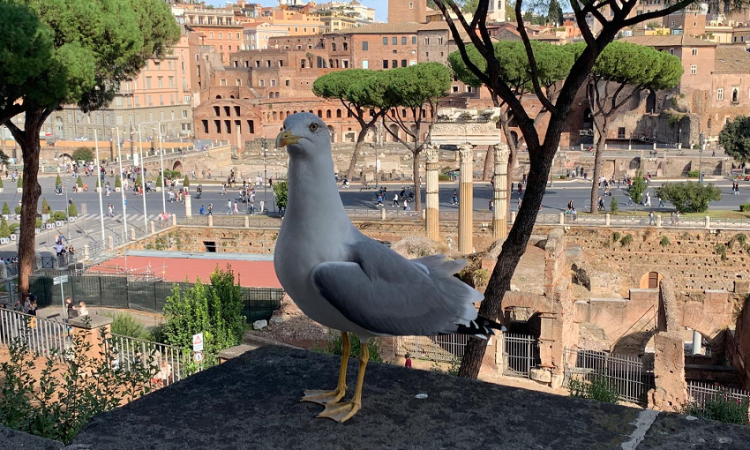 Musei e siti archeologici aperti a ferragosto