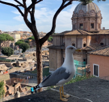 Sovrintendenza Capitolina ai Beni Culturali -Appuntamenti dal 22 al 28 agosto 2025   