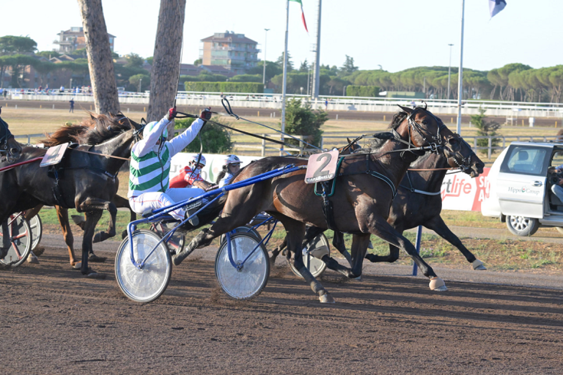 Sabato 27 settembre: grande trotto a Capannelle con l’Invito di Preparazione a Derby e Oaks e la prova pubblica di Bleff Dipa in vista del Gran Premio Turilli