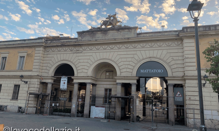 Green Market Festival di novembre: nuova posizione, stessa energia tra creatività, eco-artigianato e food vegetale