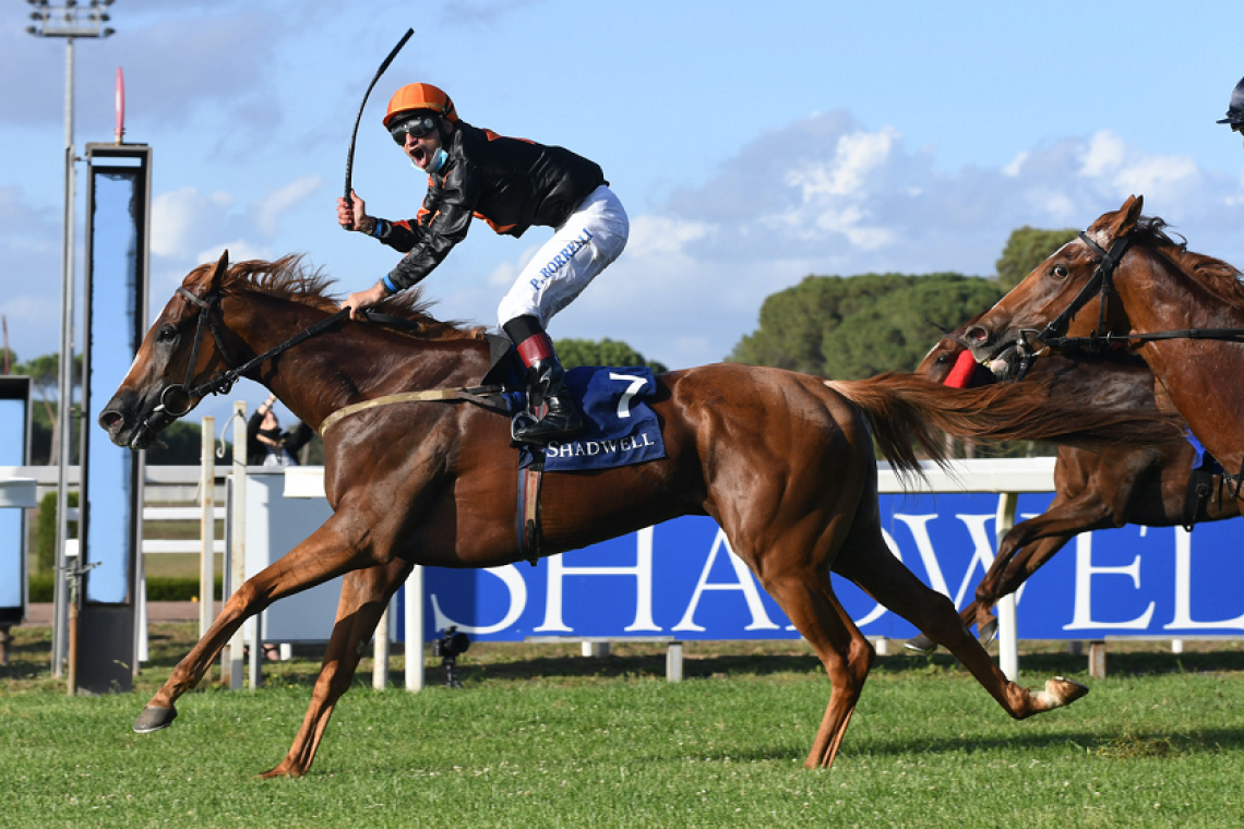 23 novembre al galoppo: l’ultima domenica di corse a Capannelle