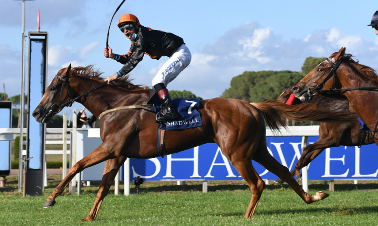 23 novembre al galoppo: l’ultima domenica di corse a Capannelle