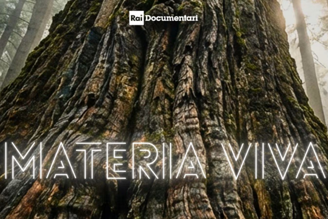 Rai 3 e RaiPlay - Materia Viva - il documentario sul legno altoatesino - giovedi' 25 dicembre 2025