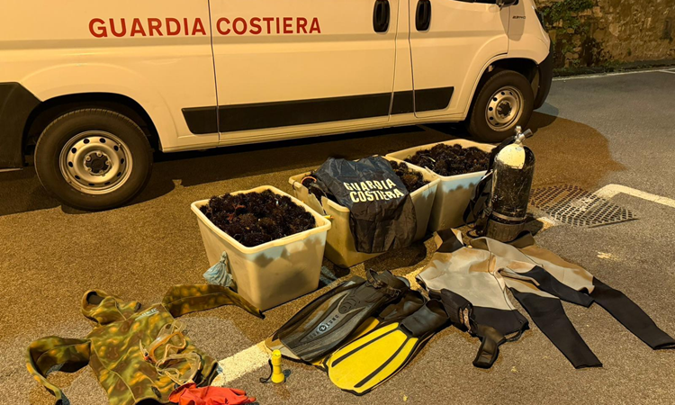 Guardia Costiera: blitz a Santa Marinella. 5000 ricci sequestrati e rimessi in mare