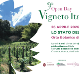 “Vigneto Italia: Open Day all’Orto Botanico di Roma per la Giornata dei Vigneti Urbani”-  26 Aprile 2026
