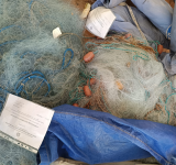 Operazione della Capitaneria di Porto di Anzio contro la pesca abusiva: sequestrate reti per 10.000 metri.