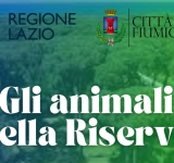 Riserva Naturale Statale del Litorale Romano, proseguono gli eventi per il trentennale